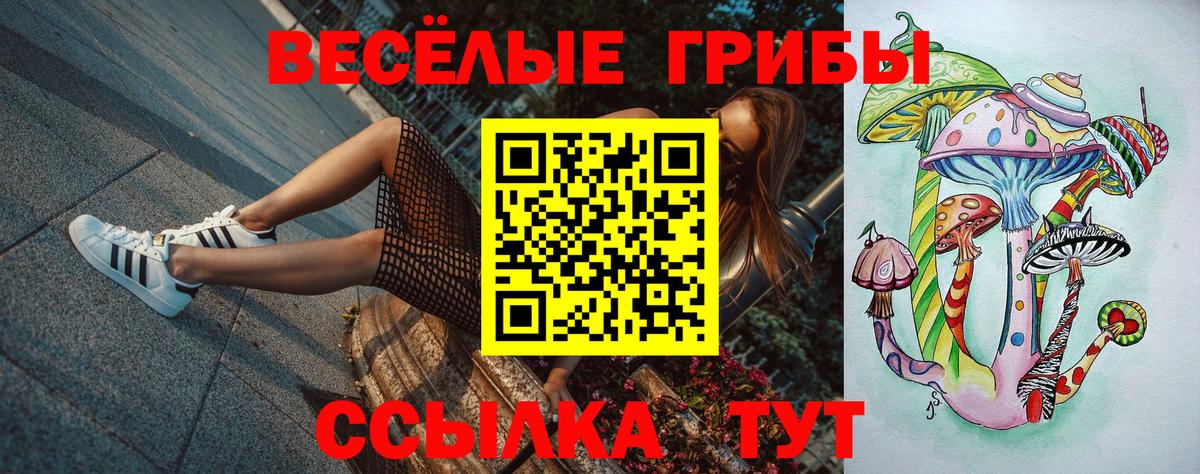 Соль-Илецк  Галлюциногенные грибы мухоморы  Вход с VPN  Галлюциногенные грибы прущие грибы 